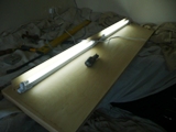 Maple Shelves